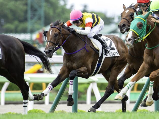 3歳馬の勝ち上がり率がすごい！～サラブレッドクラブライオンは生まれ変わったのか?～