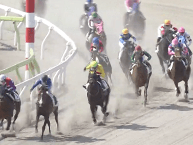 オンヴァガニエの4戦目~確勝・必勝のはずが~