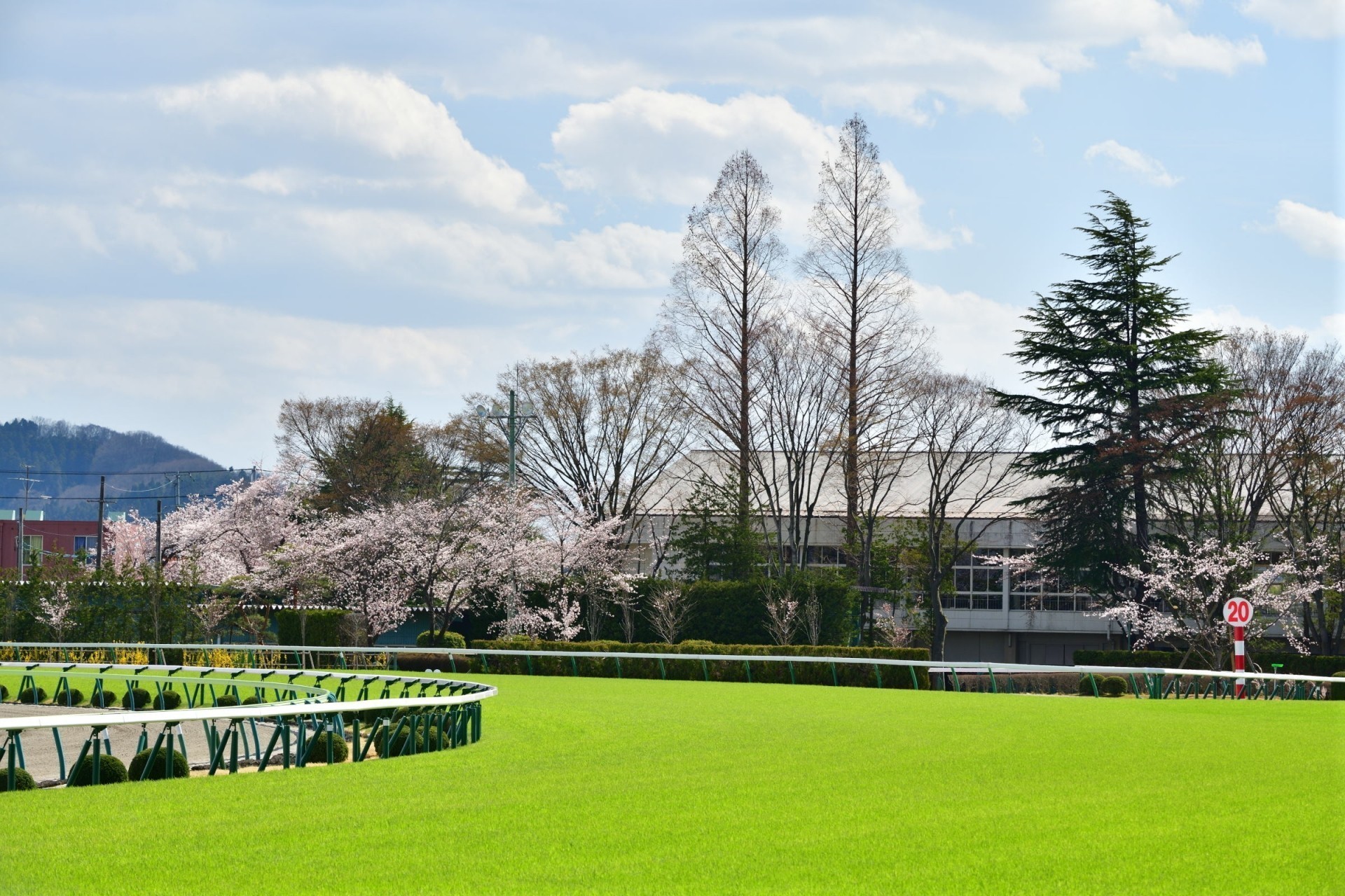 ここからの出走ラッシュ~期待の出資馬たち~2022.04.23から始まる春の出走祭り