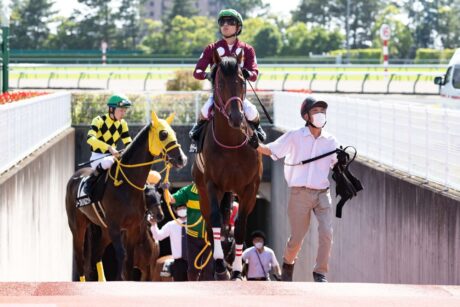 ラヴォラーレ近況~2022.06.08~一足早い夏休み突入！