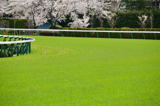 愛馬の観戦に~競馬場必携グッズのご紹介~