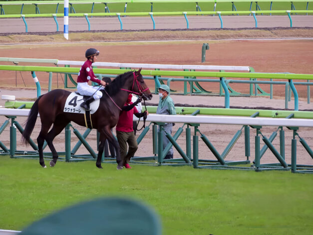 一口馬主出資馬60連敗越え・・・いつ勝てるのか・・・