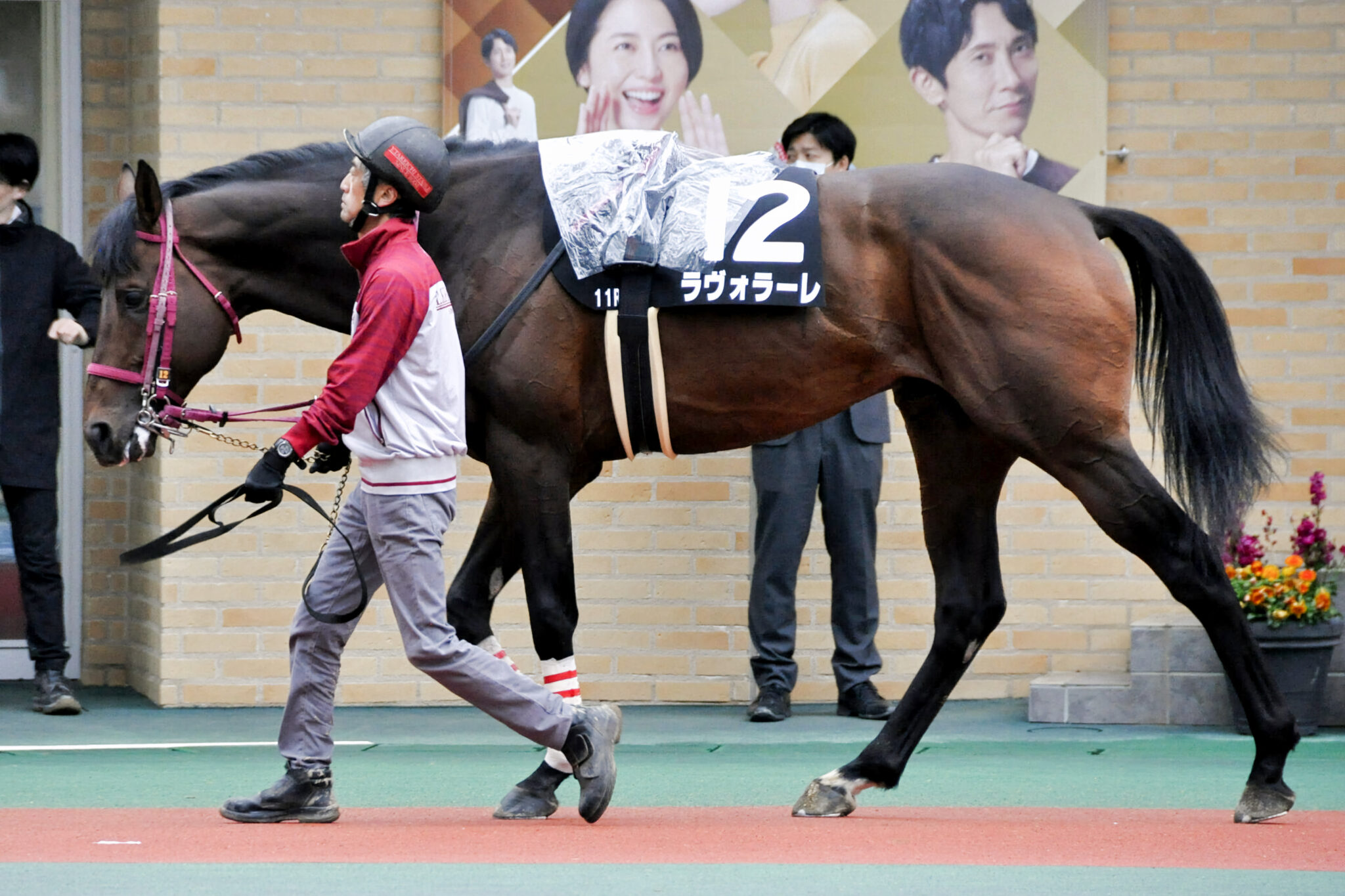 ラヴォラーレ近況~2023.04.20~