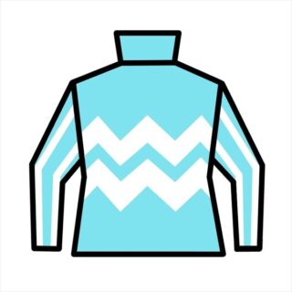 【シュライフェ】(牝)~投資のための血統診断~ストゥデンテッサ20-ノルマンディオーナーズクラブ