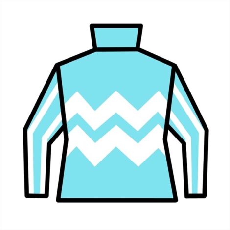 【ヴェルミセル】(牝)~投資のための血統診断~マルーンドロップ20-ノルマンディオーナーズクラブ