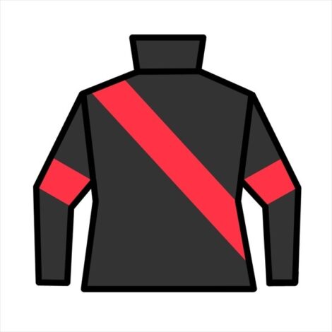 【ディーチェ21】(牡)~投資のための血統診断~G1サラブレッドクラブ